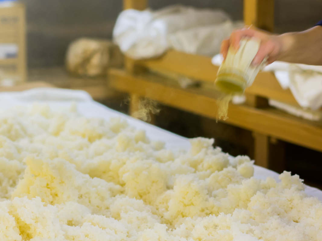 Sake making, the koji process