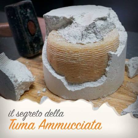 Peculiar cheese from Agrigento Sicily