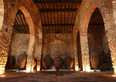 Wines of Portugal: el Vinho da Talha