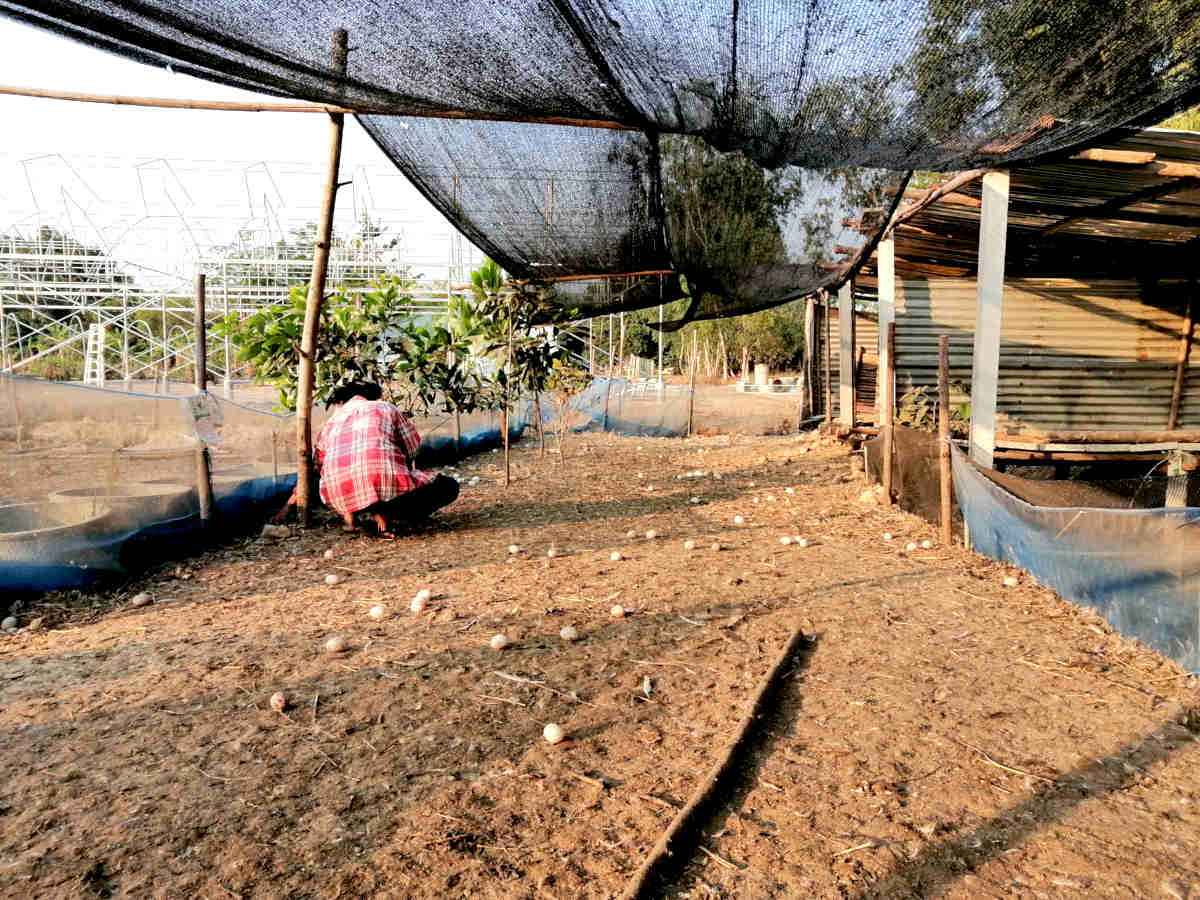 Taking my vacation up a notch with WWOOF