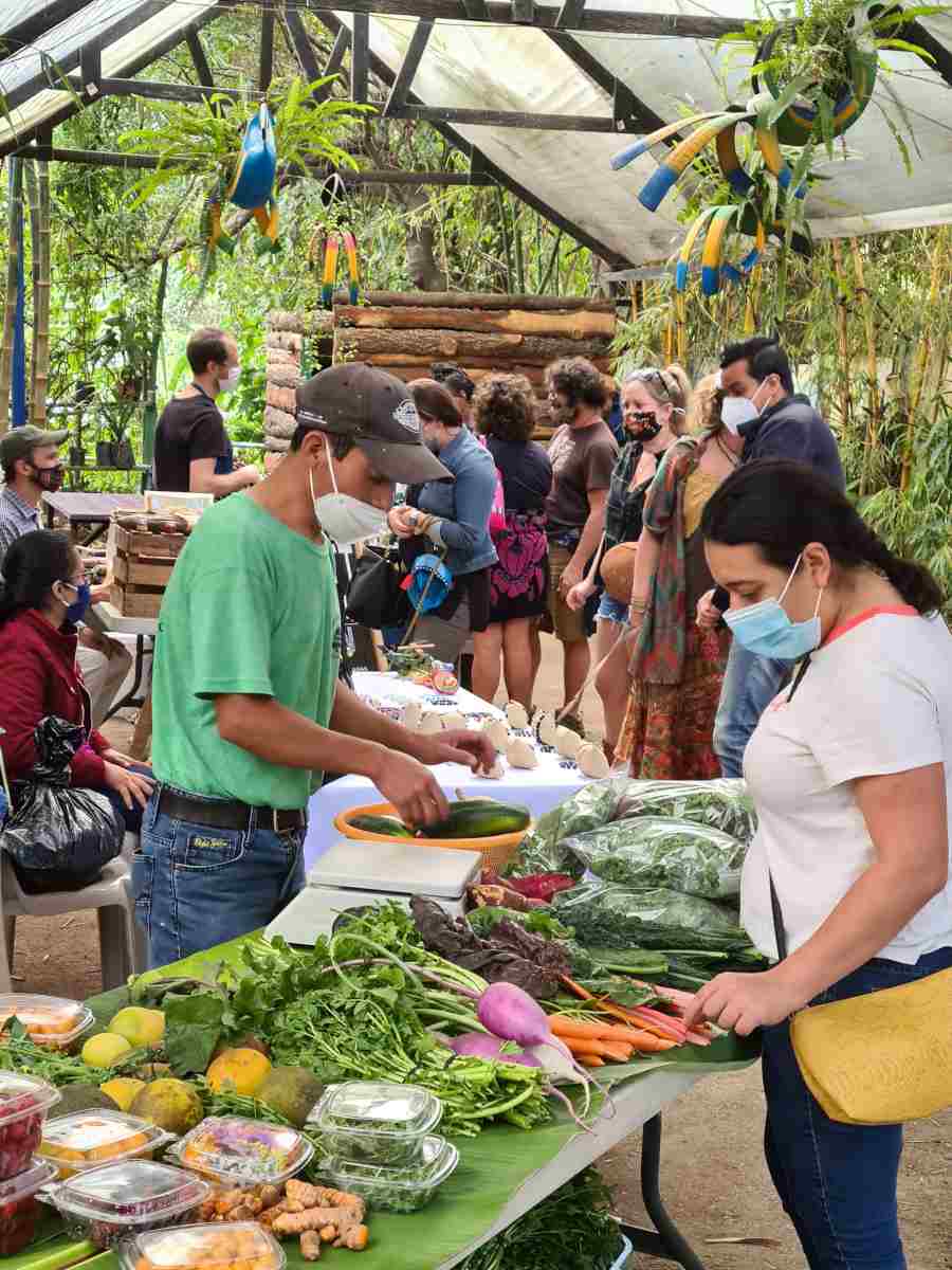 Organic Farmers market  Guatemala la Antigua