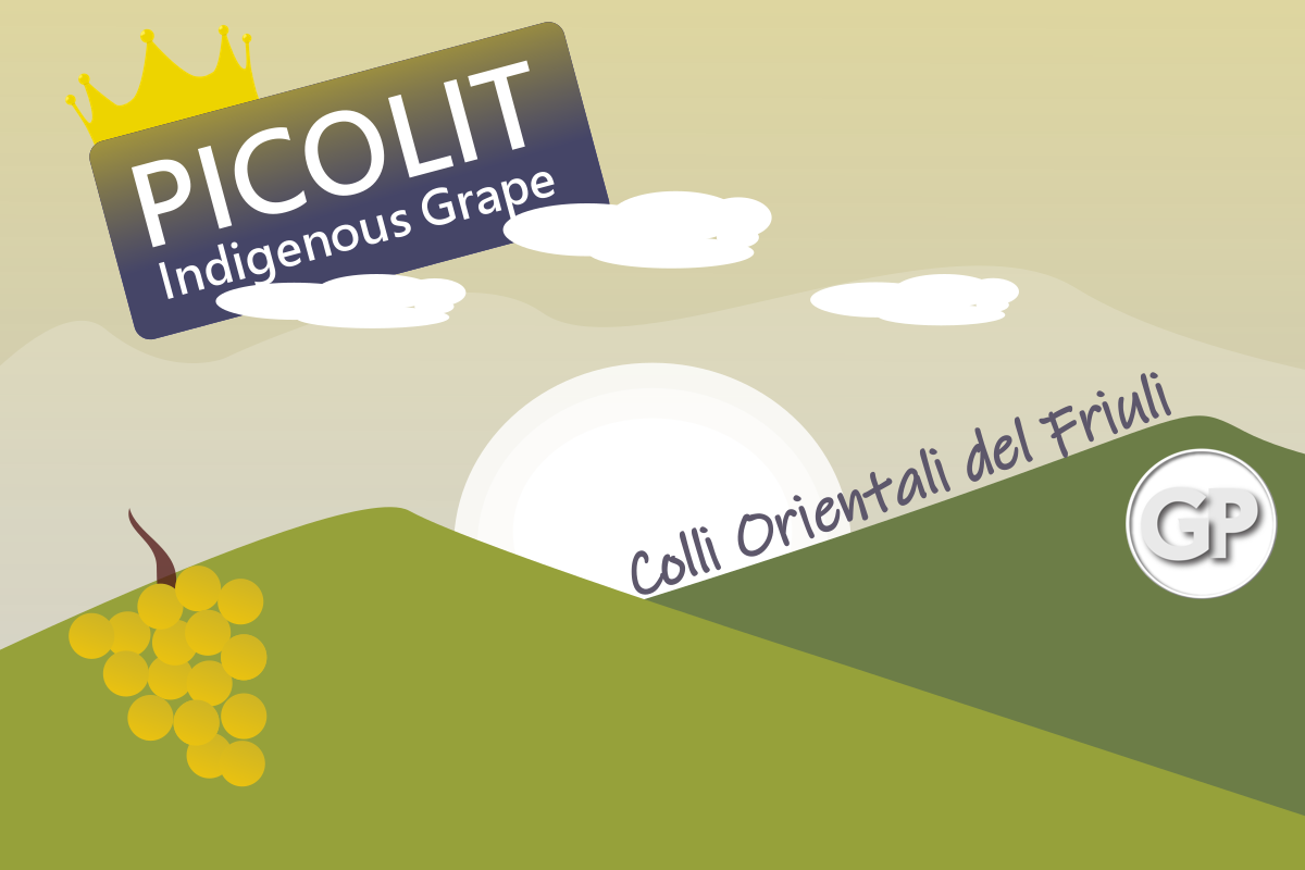 Indigenous grape Picolit