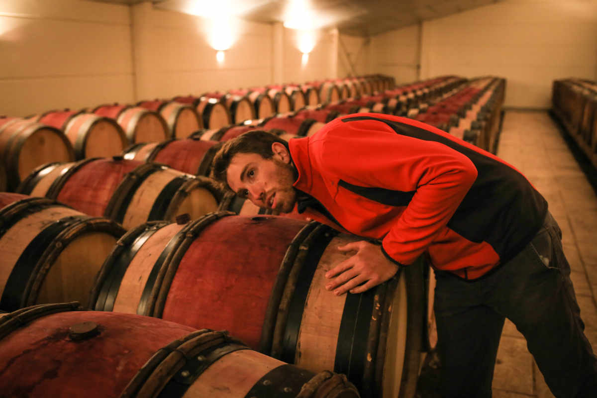 wine producers in in the barrel room, Loire, France