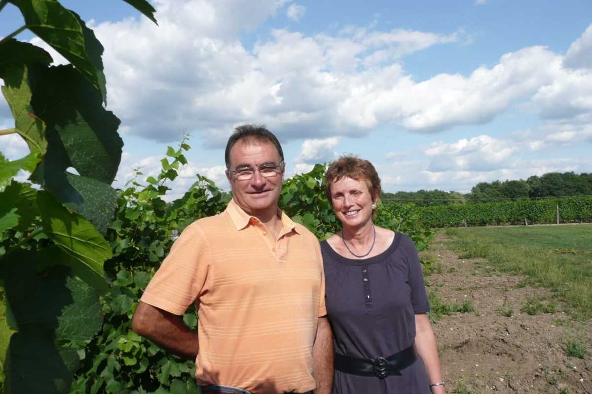 Organic wine producer in the Loire Valley